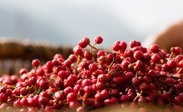 花椒有何用途呢？